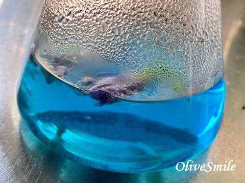 バタフライピー